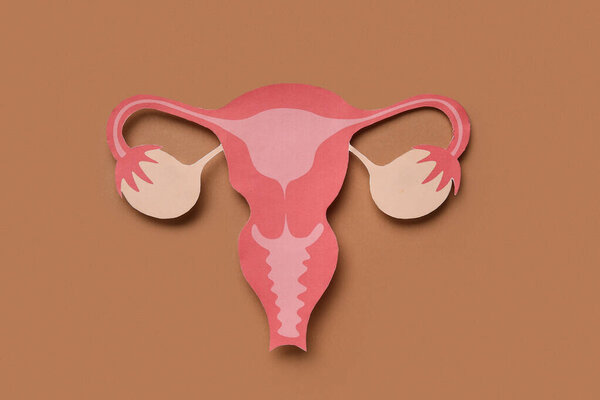 Paper uterus on brown background