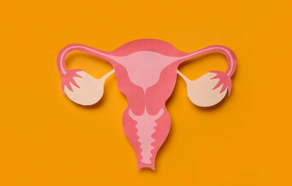 Paper uterus on orange background