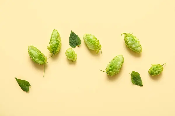 Fresh green hops and leaves on yellow background