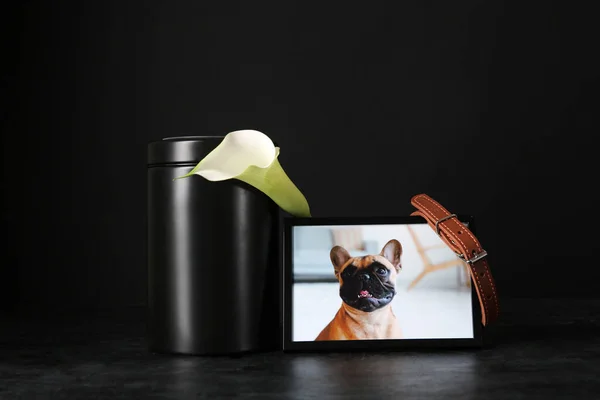 Frame with picture of dog, mortuary urn, collar and calla lily on dark background. Pet funeral