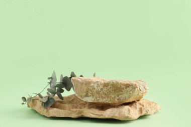 Yeşil arka planda okaliptüslü dekoratif taş podyumlar