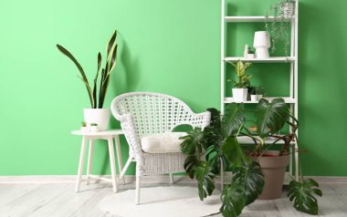 Koltuğu, raf ünitesi ve yeşil duvarın yanındaki ev bitkileriyle modern odanın içinde.