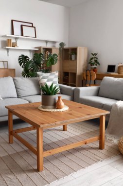 Oturma odasının içinde kanepeler ve Monstera bitkileri var.