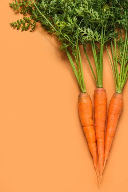 Turuncu arka planda taze havuç.