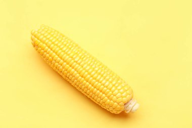 Sarı arka planda taze mısır koçanı