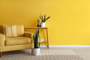 Rahat koltuk, konsol masası ve sarı duvarın yanındaki bitkiler.
