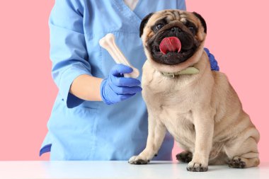 Pembe arka planda atıştırmalık ve köpekli veteriner.