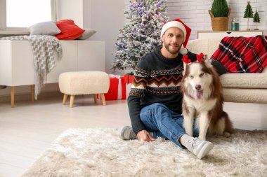 Noel Baba şapkalı yakışıklı genç adam ve evde sevimli Husky köpeği.