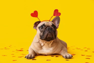 Sarı arka planda kalpleri ve konfetisi olan saç bantlı sevimli Fransız bulldog 'u. Sevgililer Günü kutlaması