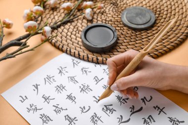 Asya hiyeroglifleri, kalem ucu, mürekkep ve çiçek açan bir dala sahip kadın eli, yakın plan. Uluslararası Haiku Şiir Günü