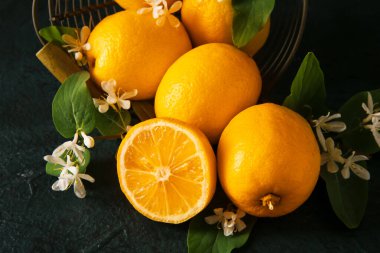 Siyah arka planda limon dolu bir sepet çiçek açan dal.