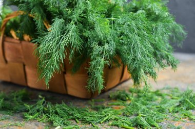 Gri arka planda taze dereotu olan sepet.