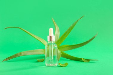 Yeşil arka planda aloe vera esaslı cam şişe.