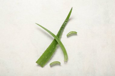 Işık arkaplanındaki aloe yapraklarını kes