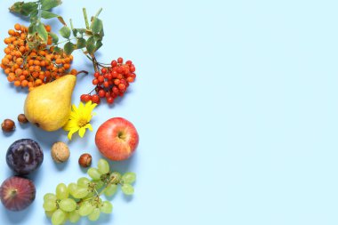 Mavi arka planda farklı taze meyve ve meyveler