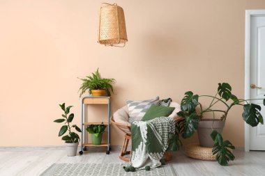 Oturma odasının içinde yeşil bitkiler ve koltuk var.