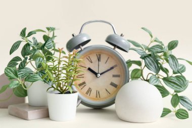 Işık arka planında alarm saati olan yapay bitkiler