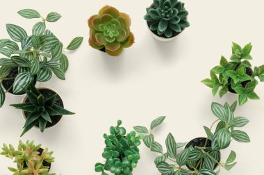 Işık arkaplanındaki yapay bitkilerden yapılmış çerçeve