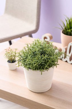 Yapay ev bitkileri masadaki masada, yakın plan.