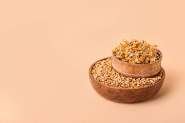 Bej arka planda filizlenmiş buğdaylı ahşap kaseler