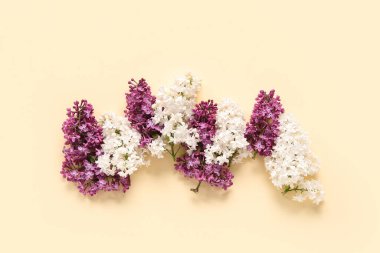 Soluk sarı arka planda güzel çiçek açan leylak çiçekleri