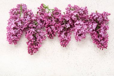 Açık grunge arka planda güzel açan leylak çiçekleri