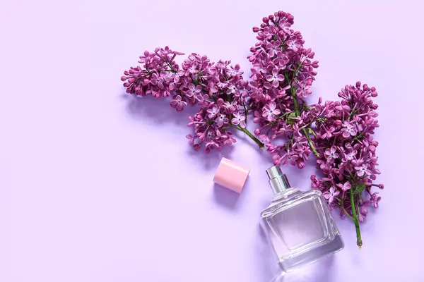 Beautiful blossoming lilac flowers with bottle of perfume on purple background