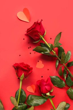 Kırmızı arka planda güzel güller ve kağıt kalpler. Sevgililer Günü kutlaması