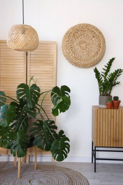 Monstera bitki örtüsü ve katlanır ekran ile aydınlık oturma odasının içi