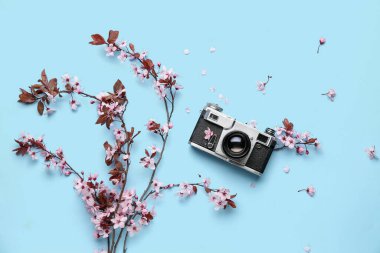Çiçekli ağaç dalları, pembe çiçekler ve mavi arka planda fotoğraf makinesi.