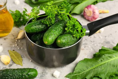 Taze salatalıklı tencere grunge arka planda korunması için.