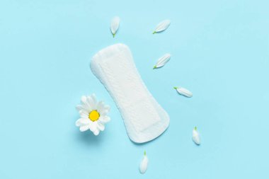 Adet yastığı, papatya çiçeği ve mavi arka planda taç yaprakları olan kompozisyon