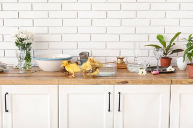 Mutfakta tatlı ördekler ve suyla dolu kaseler.