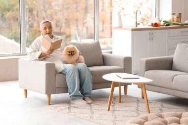 Pomeranya köpeği olan yaşlı kadın evdeki kanepede kitap okuyor.