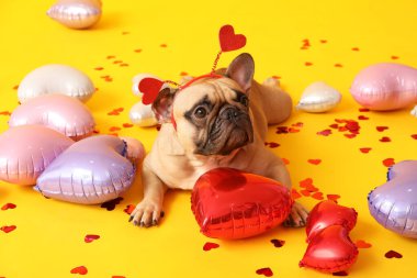 Sarı arka planda kalpleri, balonları ve konfetileri olan saç bantlı sevimli Fransız bulldog 'u. Sevgililer Günü kutlaması