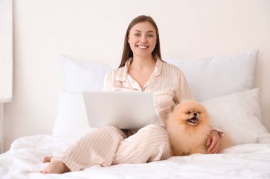 Pomeranya köpeği olan genç bir kadın yatak odasında dizüstü bilgisayar kullanıyor.