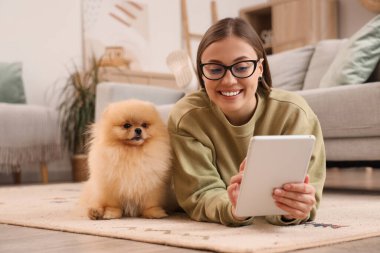 Pomeranya köpeği olan genç bir kadın evde tablet bilgisayar kullanıyor.