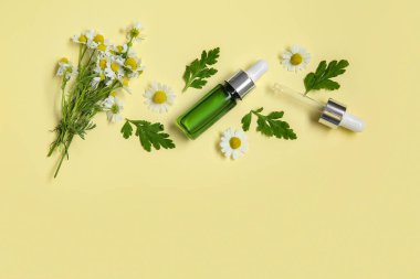 Gerekli yağ şişesiyle kompozisyon, taze papatyalar ve renk arkaplan yaprakları