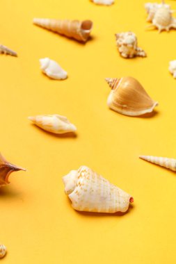 Sarı arka planda farklı deniz kabukları, yakın plan