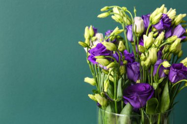 Yeşil arka planda Eustoma çiçekleri olan vazo