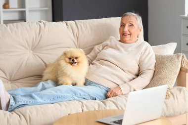 Pomeranya köpeğiyle evdeki kanepede uzanan yaşlı kadın.