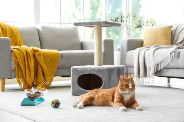 stock image Cute cat lying near scratching post at home