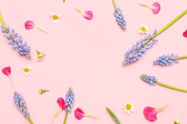 Pembe arka planda güzel Muscari çiçeklerinden ve taç yapraklarından yapılmış çerçeve