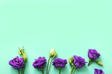 Renkli arka planda güzel Eustoma çiçekleri sırası