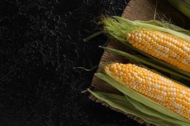 Siyah arkaplanda taze mısır koçanları