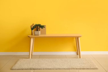 Bonsai ağacı ve sarı duvarın yanında kitapları olan televizyon standı.