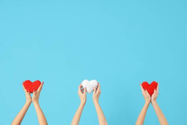 Mavi arka planda örülmüş kalpleri tutan kadın elleri. Sevgililer Günü kutlaması