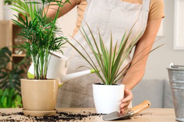 Kadın bahçıvan sulama tesisi evde, yakın plan.