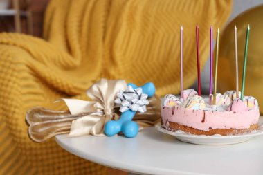 Odadaki lezzetli pasta ve kemikler. Köpek doğum günü kutlaması