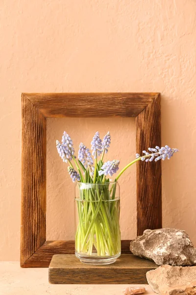 Güzel Muscari çiçekleri, ahşap çerçeve ve bej duvarın yanındaki masada taşlar.